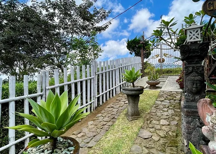 Cozy Private Vintage Near *