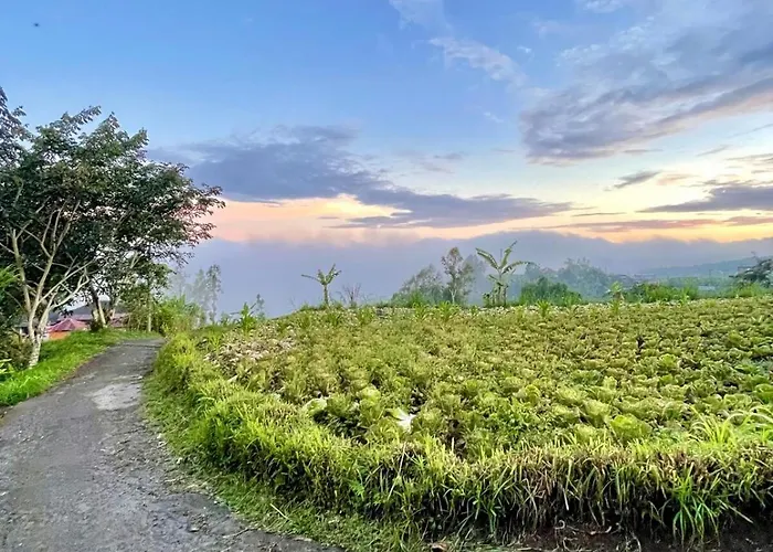Cozy Private Vintage Near Bedugul (Bali)