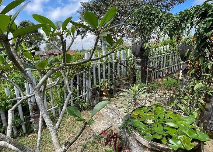 Cozy Private Vintage Near *